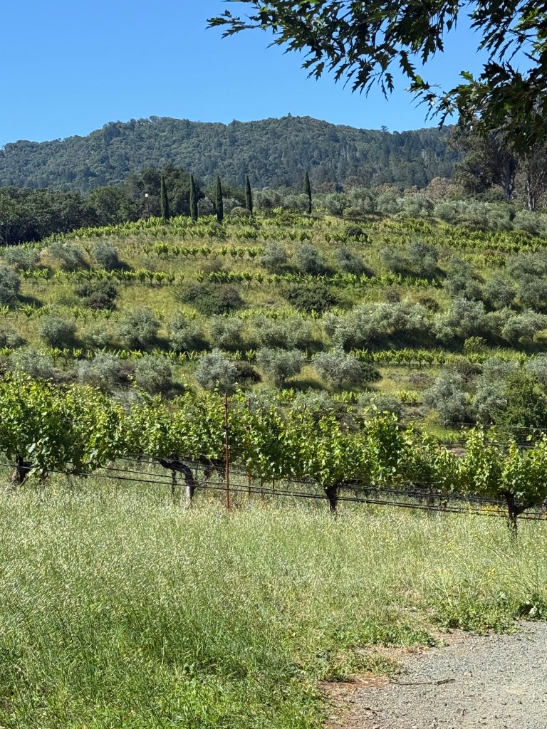 Napa Valley Long Weekend